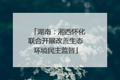 湖南：湘西怀化联合开展改善生态环境民主监督