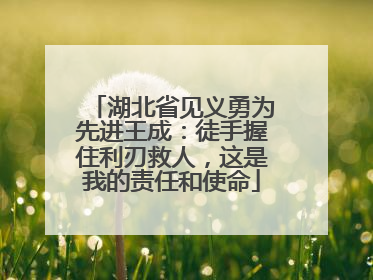 湖北省见义勇为先进王成：徒手握住利刃救人，这是我的责任和使命