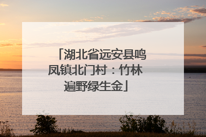 湖北省远安县鸣凤镇北门村：竹林遍野绿生金
