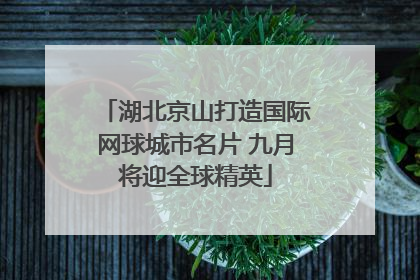 湖北京山打造国际网球城市名片 九月将迎全球精英