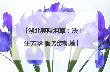 湖北夷陵烟草：沃土生芳华 服务绽新篇