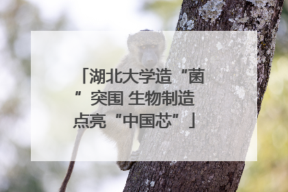 湖北大学造“菌”突围 生物制造点亮“中国芯”