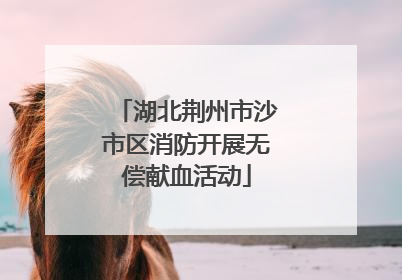 湖北荆州市沙市区消防开展无偿献血活动