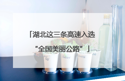 湖北这三条高速入选“全国美丽公路”