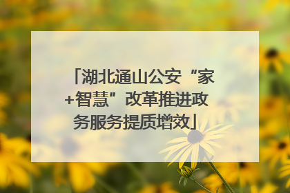 湖北通山公安“家+智慧”改革推进政务服务提质增效