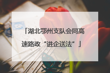 湖北鄂州支队会同高速路政“进企送法”