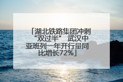 湖北铁路集团冲刺“双过半” 武汉中亚班列一年开行量同比增长72%