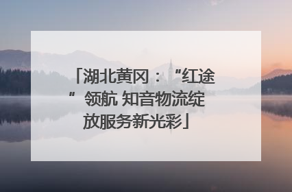 湖北黄冈：“红途”领航 知音物流绽放服务新光彩