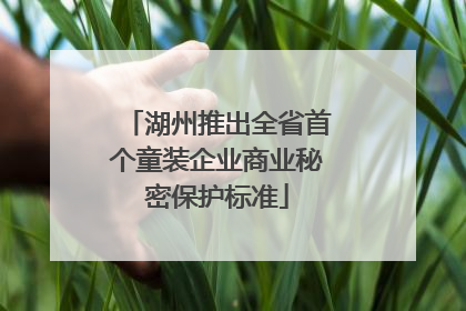 湖州推出全省首个童装企业商业秘密保护标准