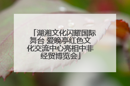 湖湘文化闪耀国际舞台 爱晚亭红色文化交流中心亮相中非经贸博览会