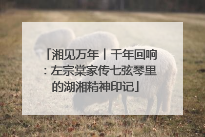 湘见万年丨千年回响：左宗棠家传七弦琴里的湖湘精神印记