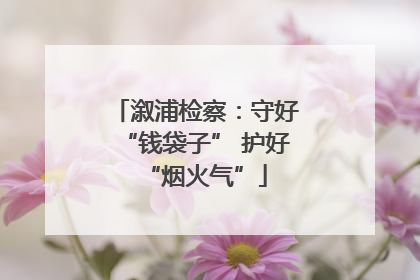 溆浦检察：守好“钱袋子” 护好“烟火气”