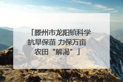 滕州市龙阳镇科学抗旱保苗 力保万亩农田“解渴”