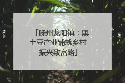 滕州龙阳镇：黑土豆产业铺就乡村振兴致富路