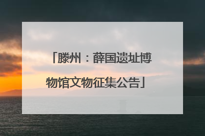 滕州：薛国遗址博物馆文物征集公告