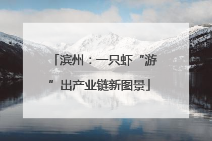 滨州：一只虾“游”出产业链新图景