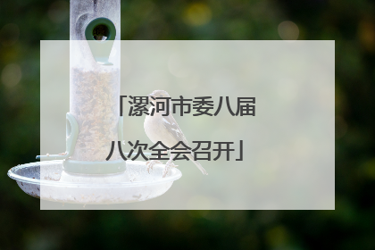 漯河市委八届八次全会召开