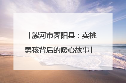 漯河市舞阳县：卖桃男孩背后的暖心故事