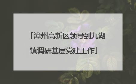 漳州高新区领导到九湖镇调研基层党建工作