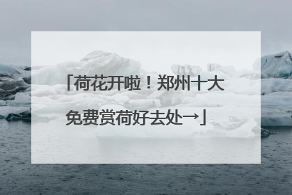 荷花开啦！郑州十大免费赏荷好去处→
