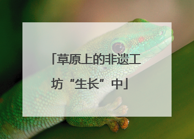 草原上的非遗工坊“生长”中