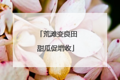 荒滩变良田 甜瓜促增收