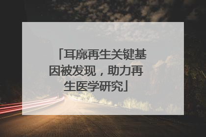 耳廓再生关键基因被发现，助力再生医学研究
