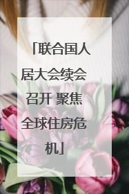 联合国人居大会续会召开 聚焦全球住房危机
