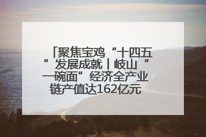 聚焦宝鸡“十四五”发展成就丨岐山“一碗面”经济全产业链产值达162亿元 入选全国典型县