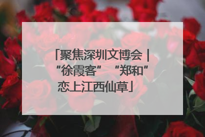 聚焦深圳文博会｜“徐霞客”“郑和”恋上江西仙草