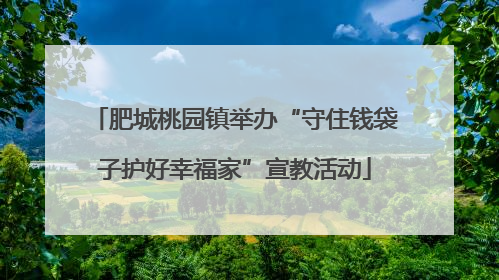 肥城桃园镇举办“守住钱袋子护好幸福家”宣教活动