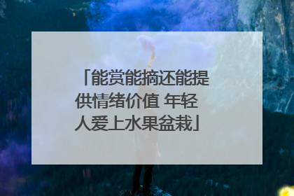 能赏能摘还能提供情绪价值 年轻人爱上水果盆栽