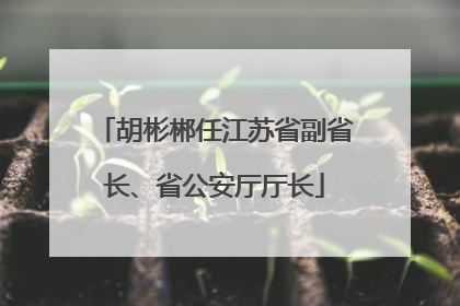 胡彬郴任江苏省副省长、省公安厅厅长