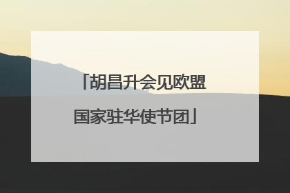 胡昌升会见欧盟国家驻华使节团