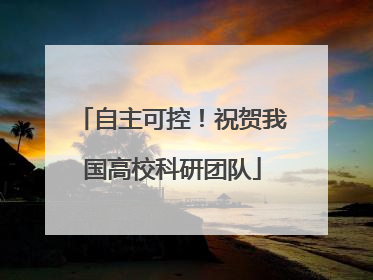 自主可控！祝贺我国高校科研团队