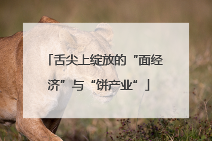 舌尖上绽放的“面经济”与“饼产业”