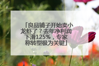 良品铺子开始卖小龙虾了？去年净利润下滑125%，专家称转型极为关键