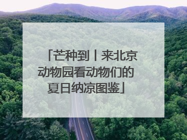 芒种到丨来北京动物园看动物们的夏日纳凉图鉴