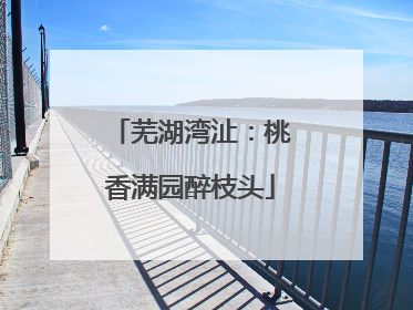 芜湖湾沚：桃香满园醉枝头