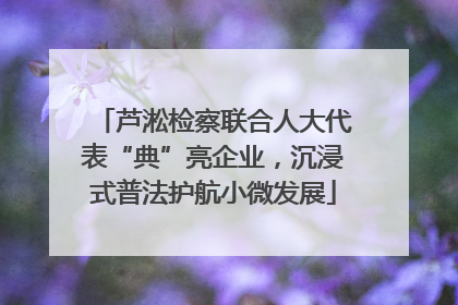芦淞检察联合人大代表“典”亮企业，沉浸式普法护航小微发展