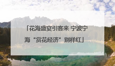 花海盛宴引客来 宁波宁海“赏花经济”别样红