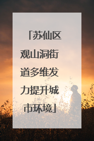 苏仙区观山洞街道多维发力提升城市环境