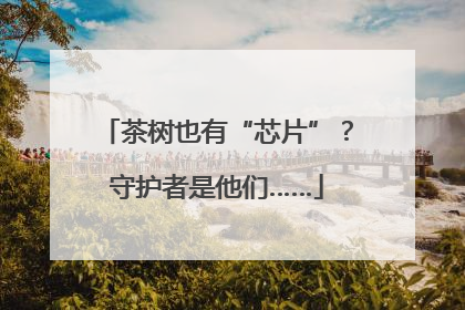 茶树也有“芯片”？守护者是他们……