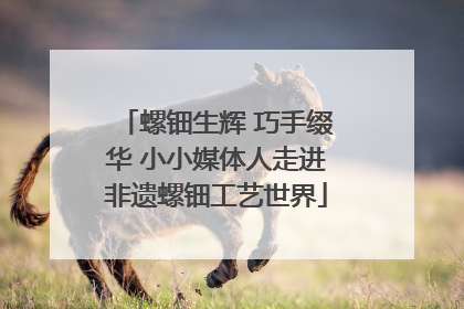 螺钿生辉 巧手缀华 小小媒体人走进非遗螺钿工艺世界