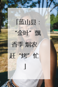 蓝山县：“金叶”飘香季 烟农赶“烤”忙