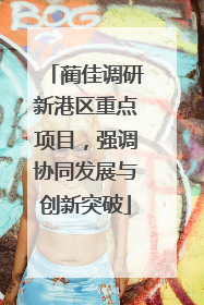 蔺佳调研新港区重点项目，强调协同发展与创新突破