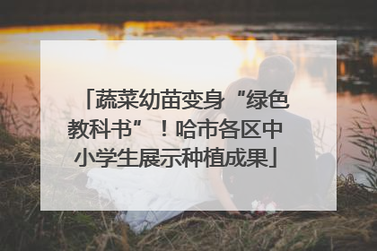 蔬菜幼苗变身“绿色教科书”！哈市各区中小学生展示种植成果