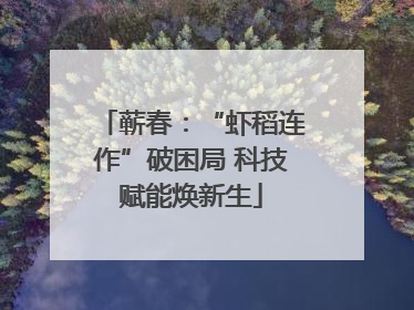 蕲春：“虾稻连作”破困局 科技赋能焕新生