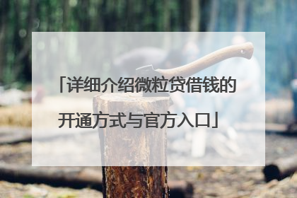 详细介绍微粒贷借钱的开通方式与官方入口