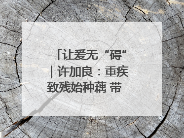 让爱无“碍”｜许加良：重疾致残始种藕 带动致富靠双手